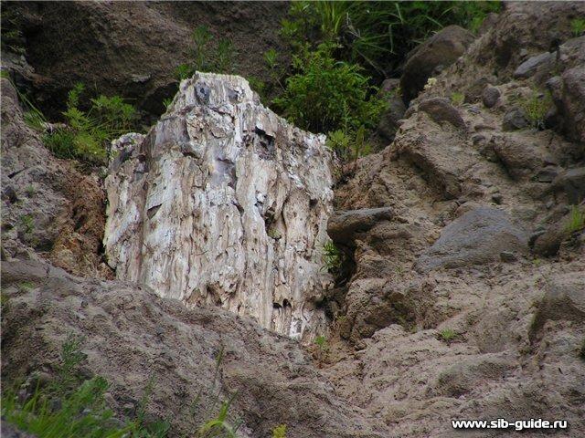 Сизиманский Каменный лес