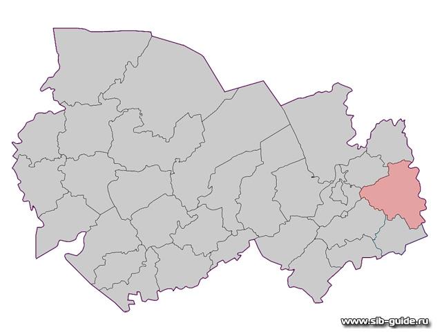 Тогучинский район