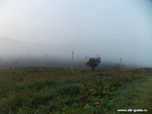 "Телецкое озеро - 2014": Утрений туман