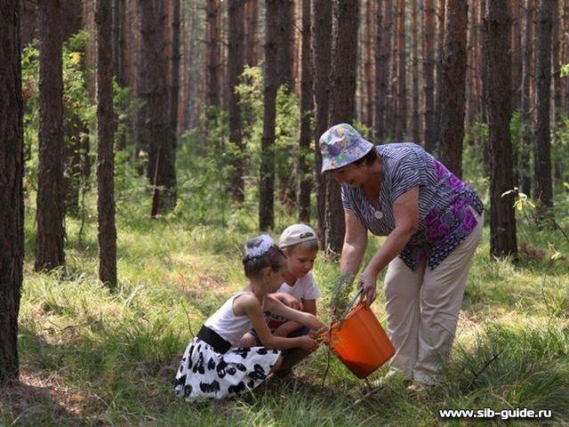 База отдыха "Усть-Алеус": Прогулки по лесу, сбор грибов и ягод