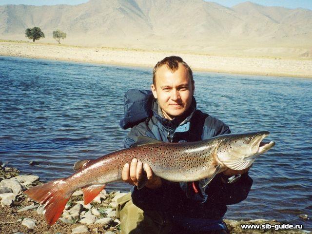 Туркомплекс "Манжерок", Рыбалка в Монголии