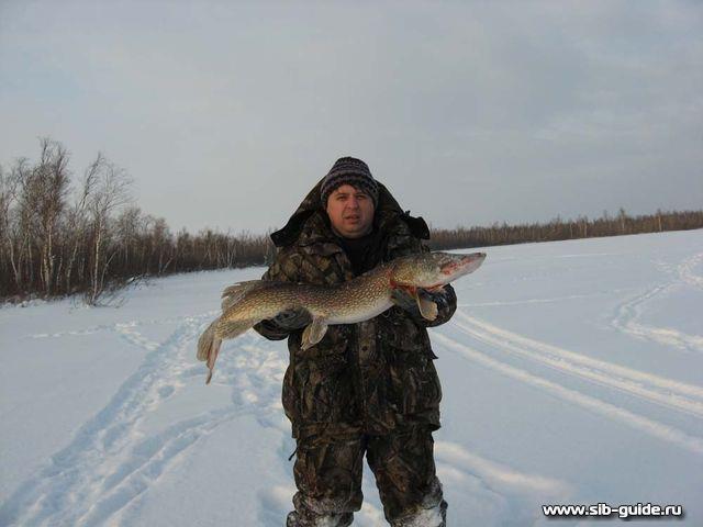 База отдыха "Сибирская рыбалка": Зимняя щука
