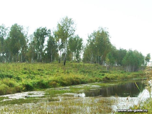 Археологический памятник "Березовый Остров-1" (общий вид)