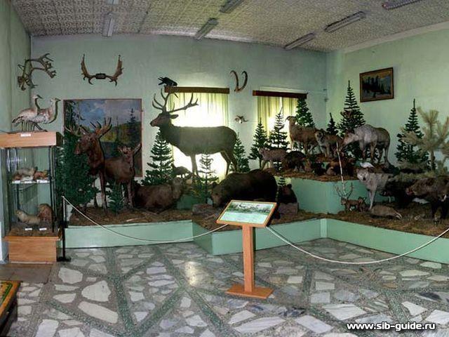 Минусинский краеведческий, зал естественной истории