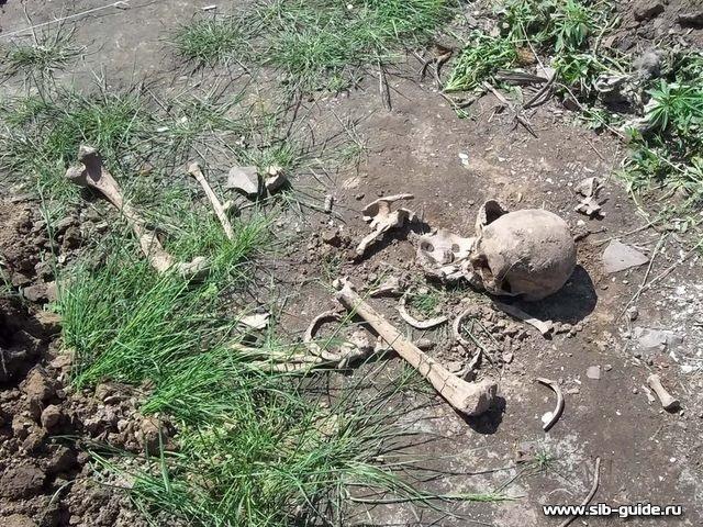 В Абакане в огороде найдены останки человека