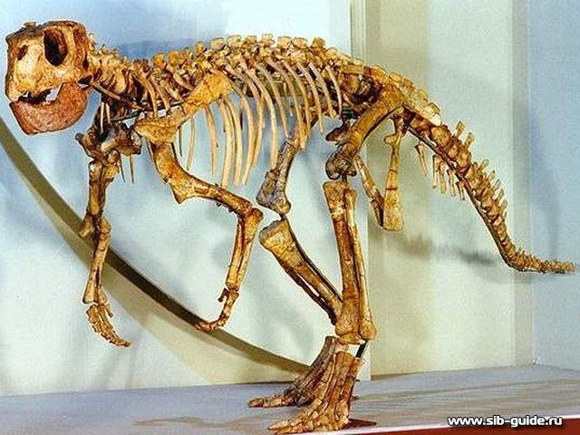 Пситтакозавр сибирский - "ящер-попугай"