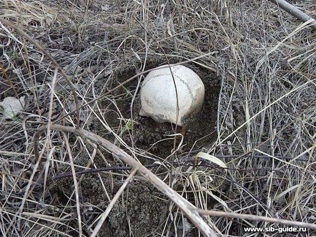 В Горном Алтае разрушают уникальный курганный могильник